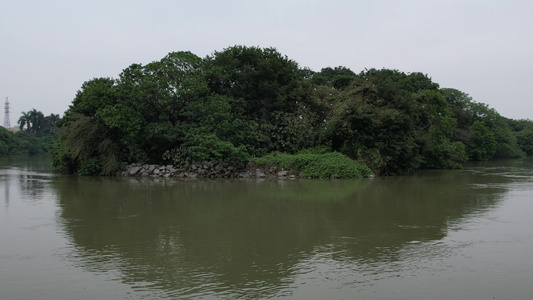 江边湿地航拍视频