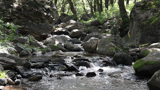 实拍河流 溪水 泉水 水资源视频