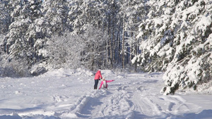 母亲在冬季森林雪上拉着孩子11秒视频