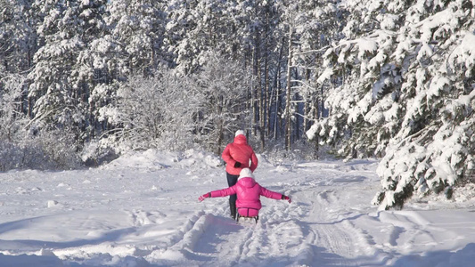 母亲冬季森林雪上拉着孩子视频