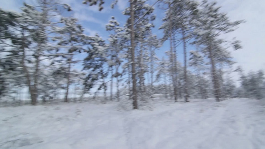 第一视角漫步在雪中穿过冬季森林视频