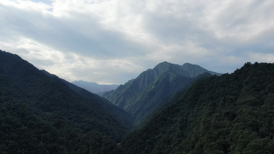 航拍自然风光大山森林植被视频