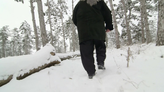 妇女在雪中走过树林视频