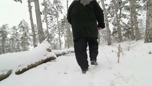 妇女在雪中走过树林25秒视频