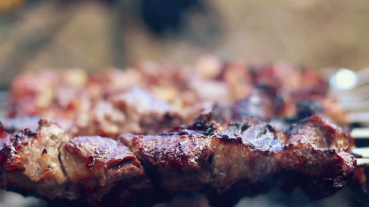 用叉子烤的肉特写镜头煮烤肉串烧烤派对的食物[用叉]视频