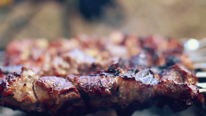 用叉子烤的肉特写镜头煮烤肉串烧烤派对的食物12秒视频