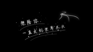4K唯美抒情手写体字幕213秒视频