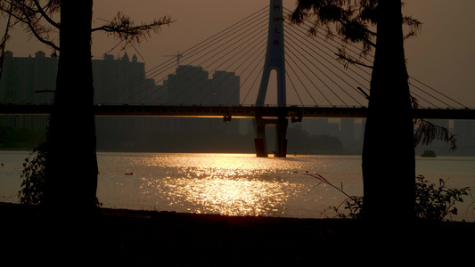 夕阳江水和游水的人视频