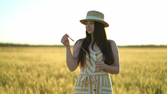 戴帽子的美丽的年轻女士手里握着小麦视频