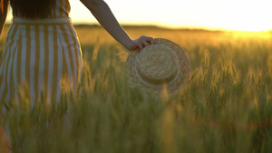 近距离拍摄一名妇女拿着草帽在小麦田中行走12秒视频
