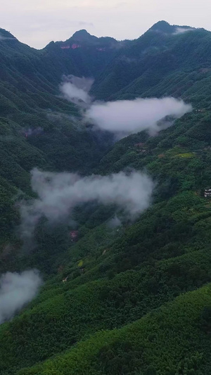 赤水竹海景区云雾航拍旅游景点90秒视频