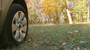 在乡村公路上驾车通过秋季的森林15秒视频