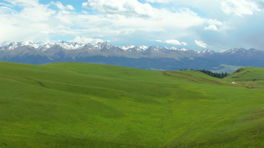 航拍5A景区喀拉峻夏季绿色草原与天山山脉雪山风光视频视频