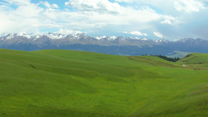 航拍5A景区喀拉峻夏季绿色草原与天山山脉雪山风光视频45秒视频