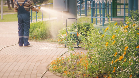 清晨的公园里给花朵植物灌溉浇水视频