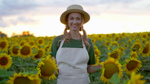 女农艺师站在农业向日葵田11秒视频