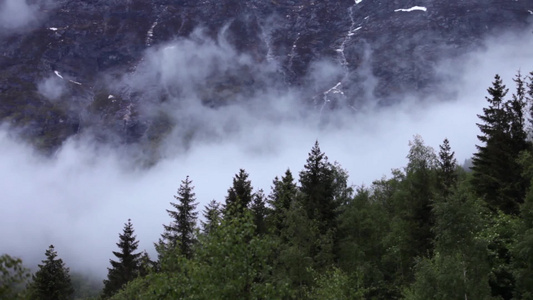 挪威山林森林雾气视频