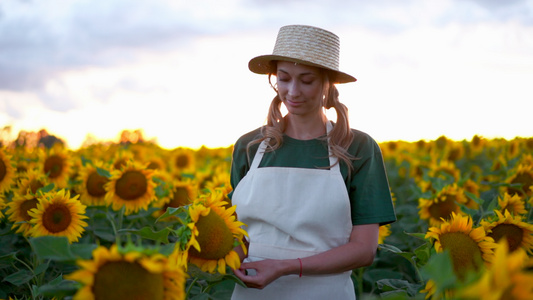 女农艺师站在农业向日葵田白种女性农民草帽肖像农业综合视频