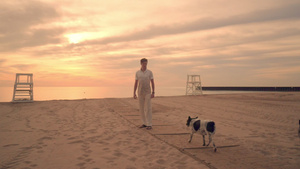 日落时在海滩上散步的女狗在海滩上行走的两只狗26秒视频