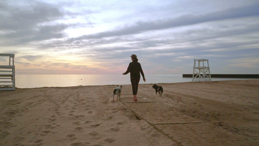 日出在海滩上散步的女生和两只狗在海滩上散步视频