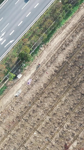 G60沪昆高速公路航拍收割完毕的农田视频