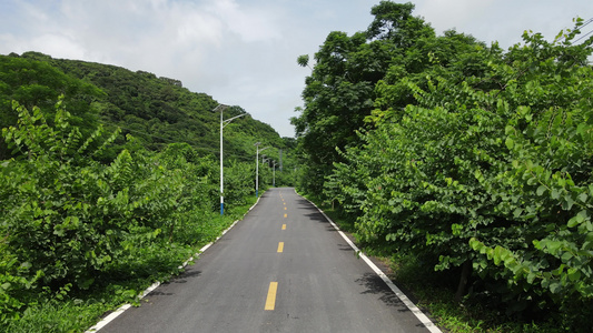 乡村道路航拍视频