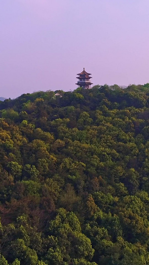 无锡太湖鼋头渚鼋头渚风景4秒视频