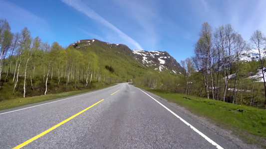 在遍地绿油油的山路上驾驶一辆汽车视频