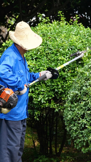 园林工人修剪花草劳作劳动23秒视频