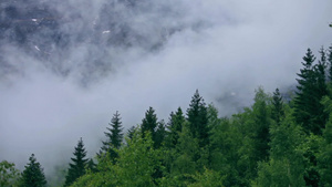 挪威山林的白雾10秒视频