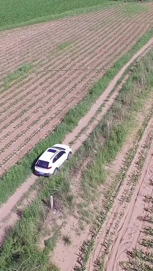 农田里开过的汽车44秒视频