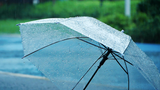 升格暴雨中的伞雨伞雨中路边的雨伞下雨天大雨透明雨伞视频