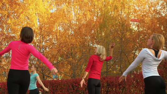 妇女团体训练端口de胸罩运动在秋季公园女性瑜伽练习视频