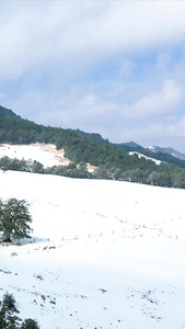 航拍穿越大山雪景视频