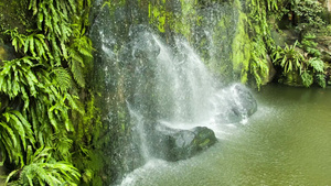 瀑布绿叶景观12秒视频