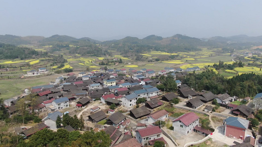 大美乡村田园美丽乡村航拍视频