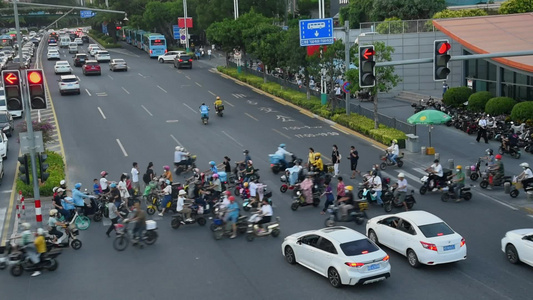 城市交通红绿灯过马路视频