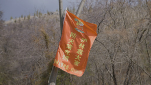 森林防火标志旗帜随风飘荡冬季108秒视频
