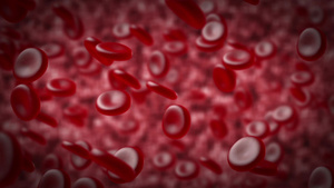 红血细胞在动脉中移动15秒视频