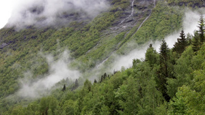 挪威山林森林雾气6秒视频