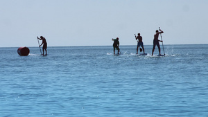 团体冲浪男子站起桨板乘暑假在海上骑船25秒视频