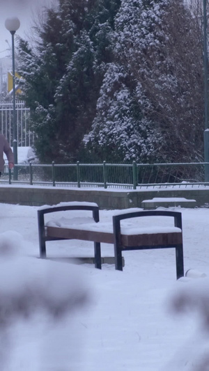 冬天大雪纷飞路上的行人树枝上的积雪24秒视频