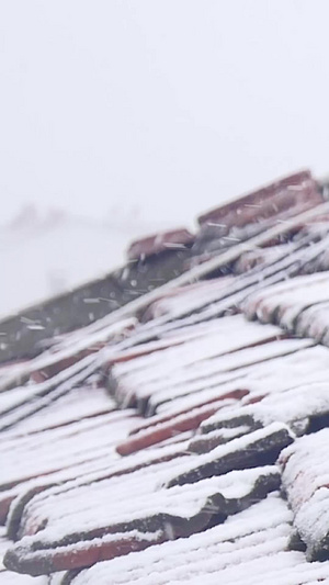 大雪纷飞雪花飘飘110秒视频