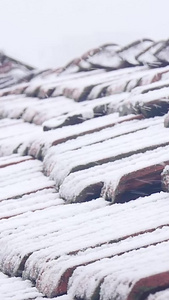 大雪纷飞雪花飘飘视频