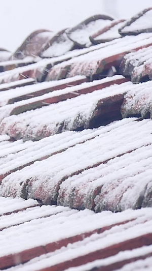 大雪纷飞冷空气110秒视频