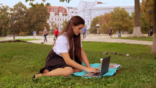 在公园使用计算机的女孩视频