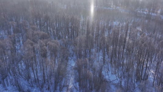 航拍视频素材河套柳树雪花飘飘视频