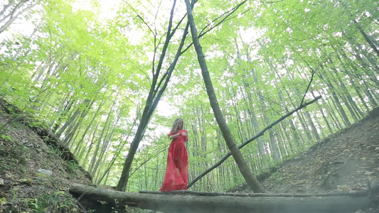女人在神秘的森林中行走视频