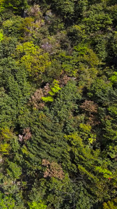 5A风景区奉化雪窦山三隐潭景点瀑布航拍合集户外瀑布视频