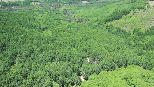 航拍绿水青山 森林视频